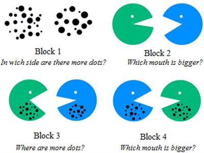 Mathematics Competence Level: The Contribution of Non-symbolic and Spatial Magnitude Comparison Skills